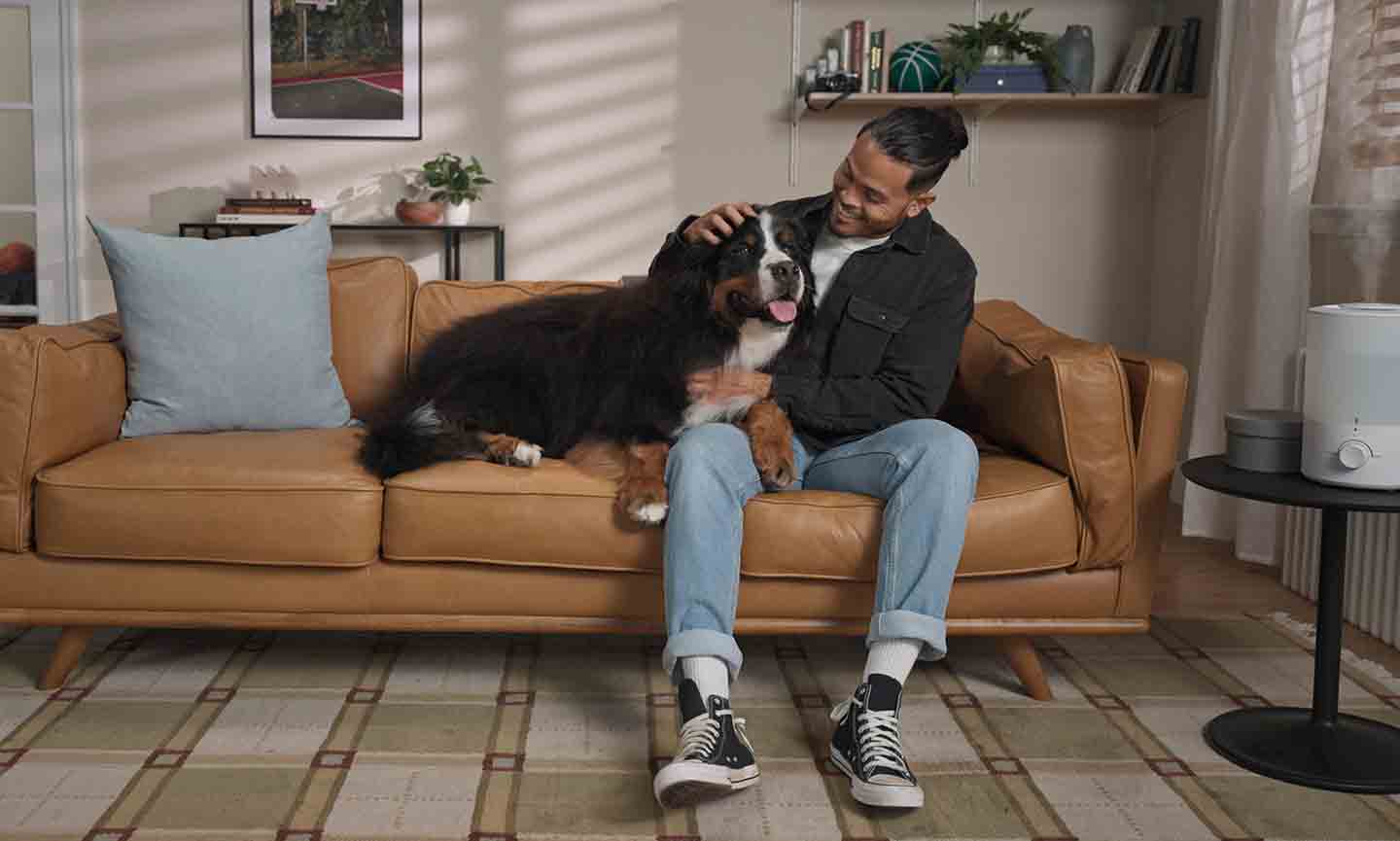 How To Get Rid of Dandruff on Dogs BeChewy