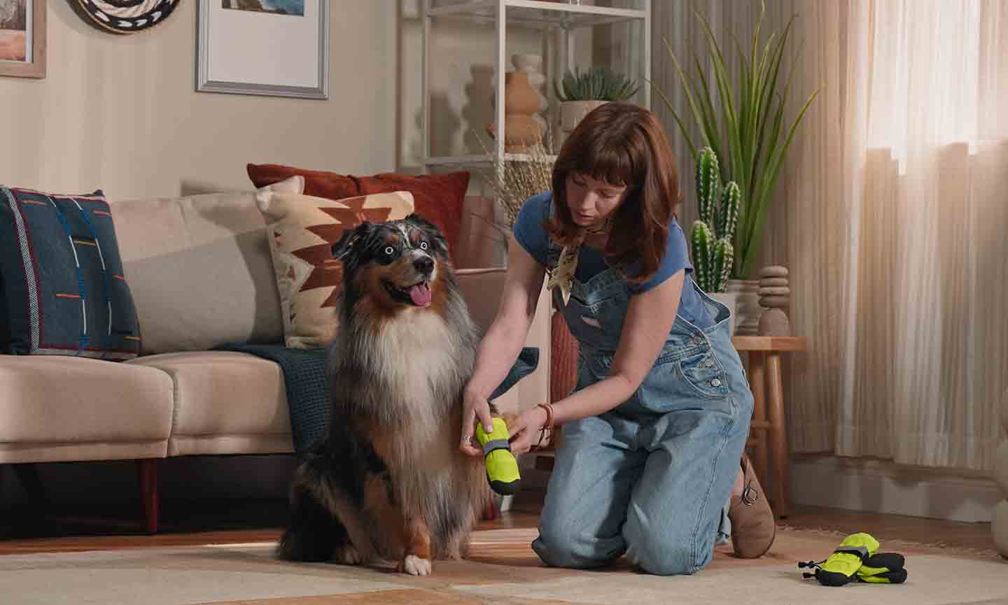 How to Get Your Pup to Wear Dog Shoes (AKA Dog Boots) to Pet Hut!