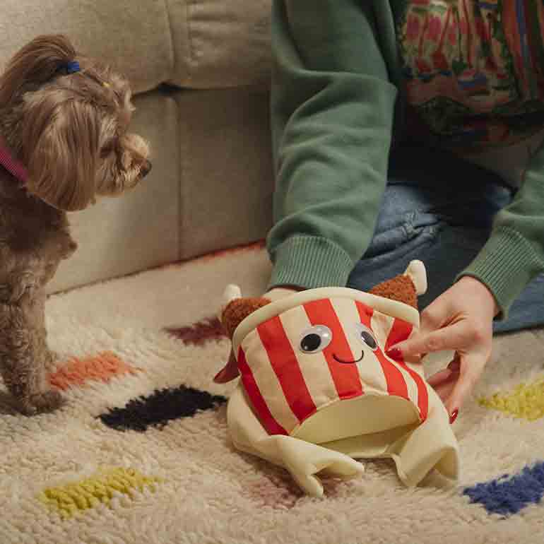 How To Train Your Dog To Wear Clothing and Costumes BeChewy