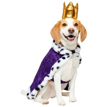 Frisco Royal Dog Cape