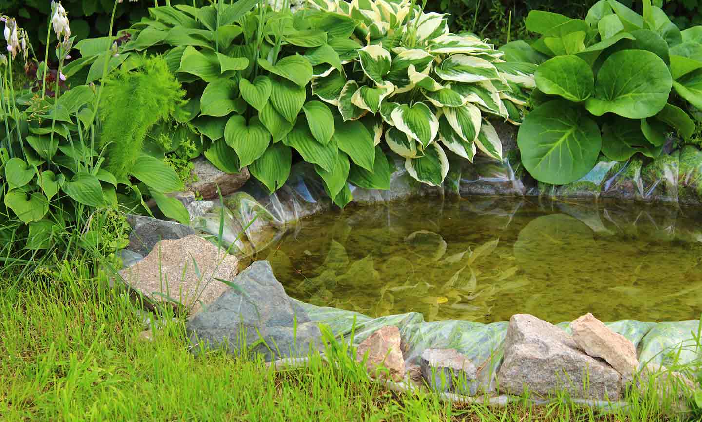 Shallow Pond Liner Pond Liner M100 1.12.jpg?