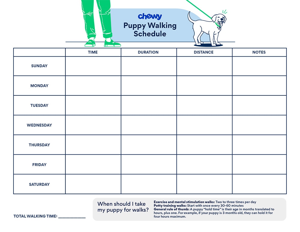 Puppy Schedule Printable From Birth - Free Printable Schedules