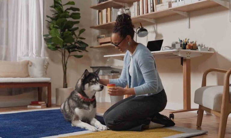 gabapentin dogs chewy