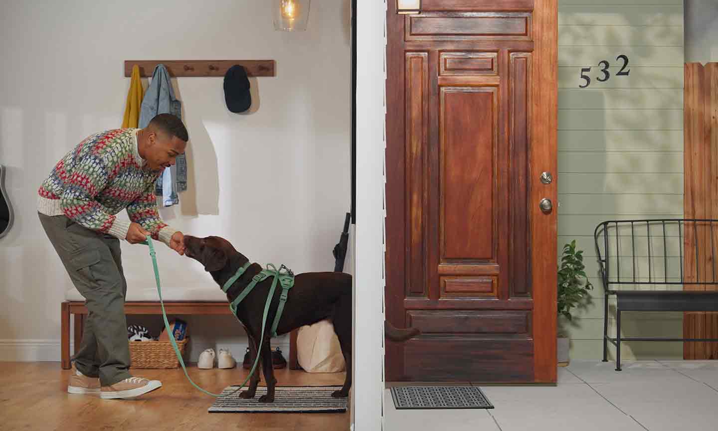 How To Stop Your Dog From Darting Out the Door BeChewy
