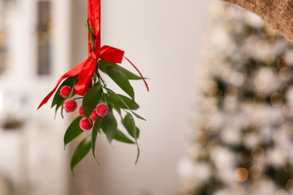 Mistletoe