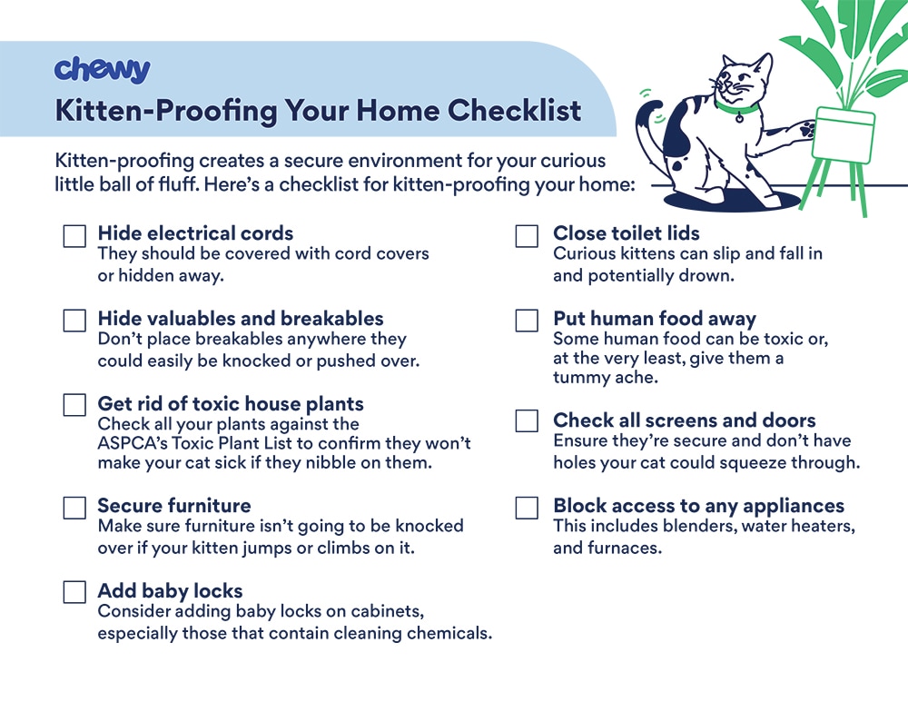 New Kitten Printables: Checklists, Trackers, and More | BeChewy