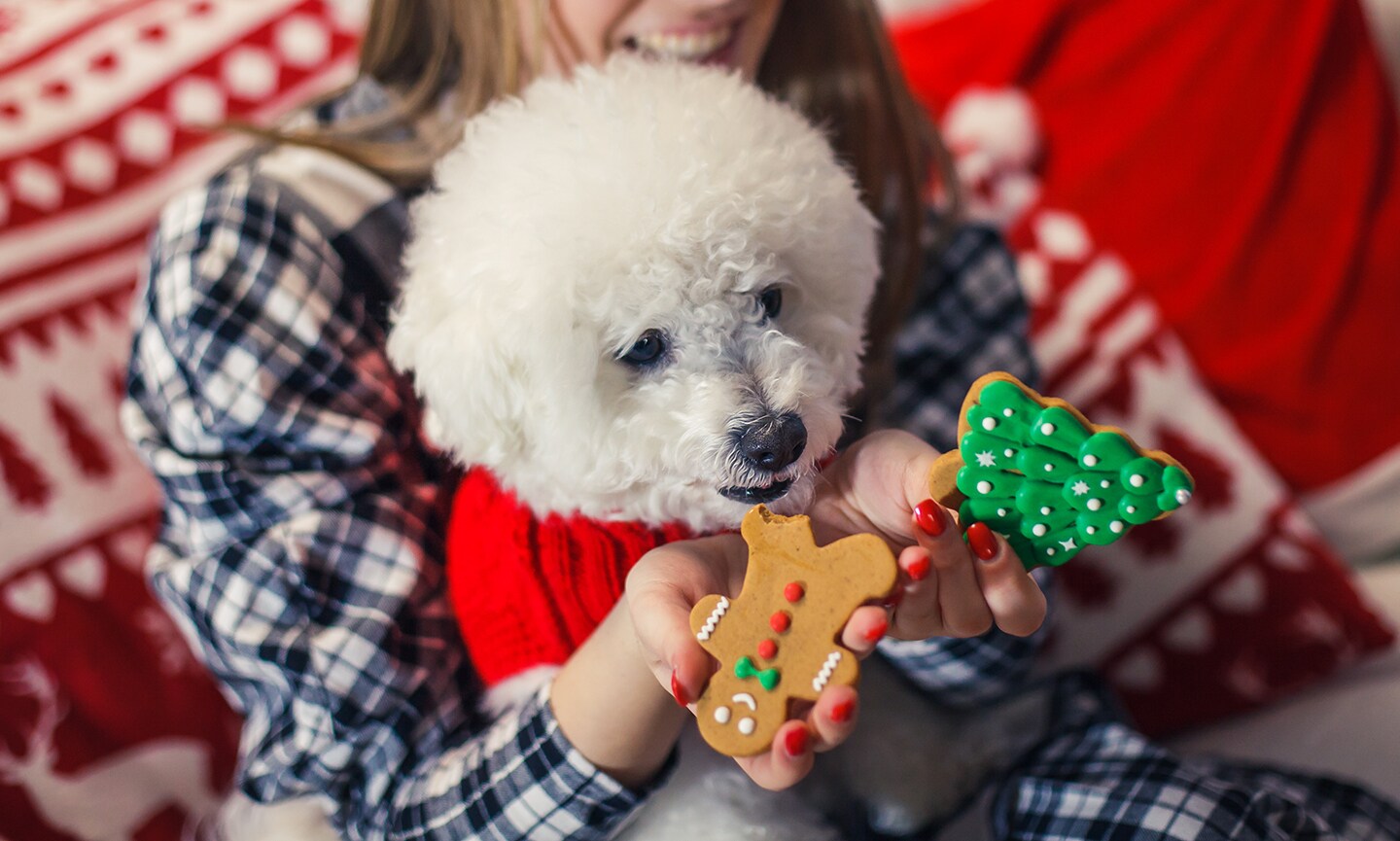 Gingerbread and dogs best sale