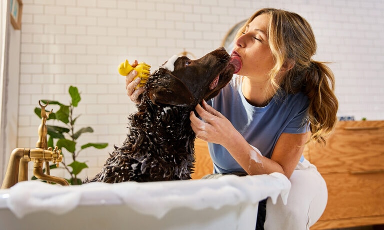 Pet Grooming: The Ultimate Guide with FR8Pals.com