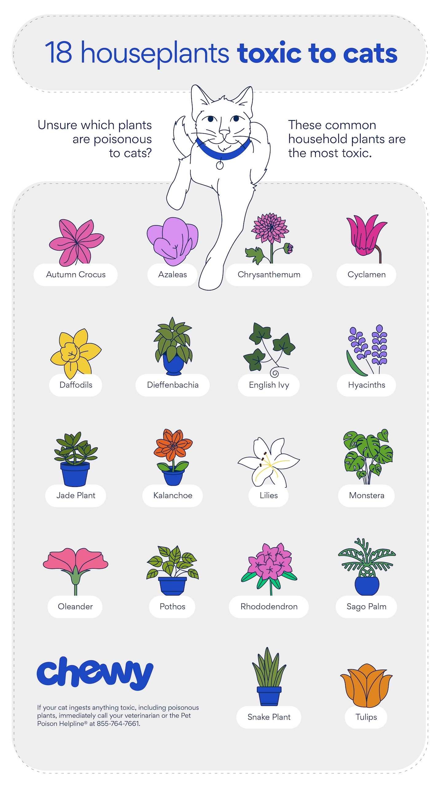 18 Common Plants Poisonous to Cats | BeChewy