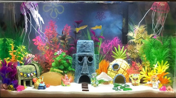cool fish tank themes