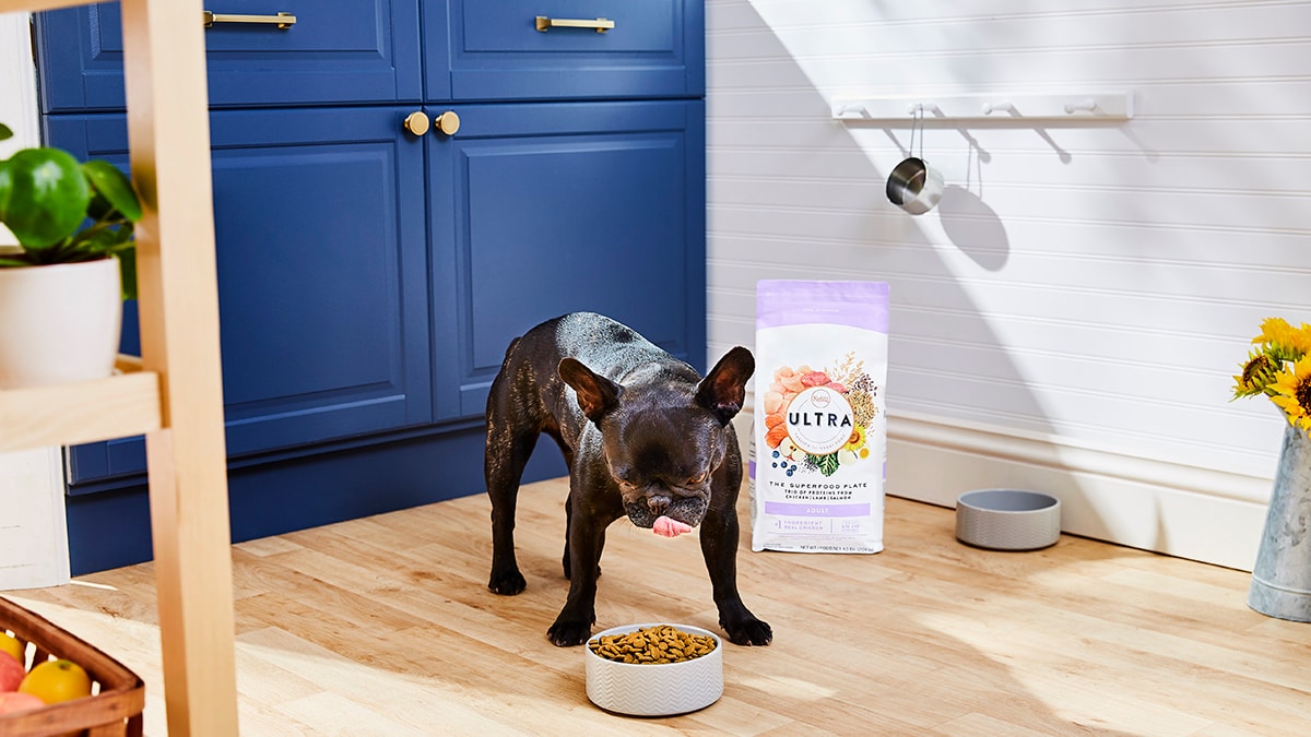 Clean Eating for Dogs with Nutro’s ‘Feed Clean’ Diets