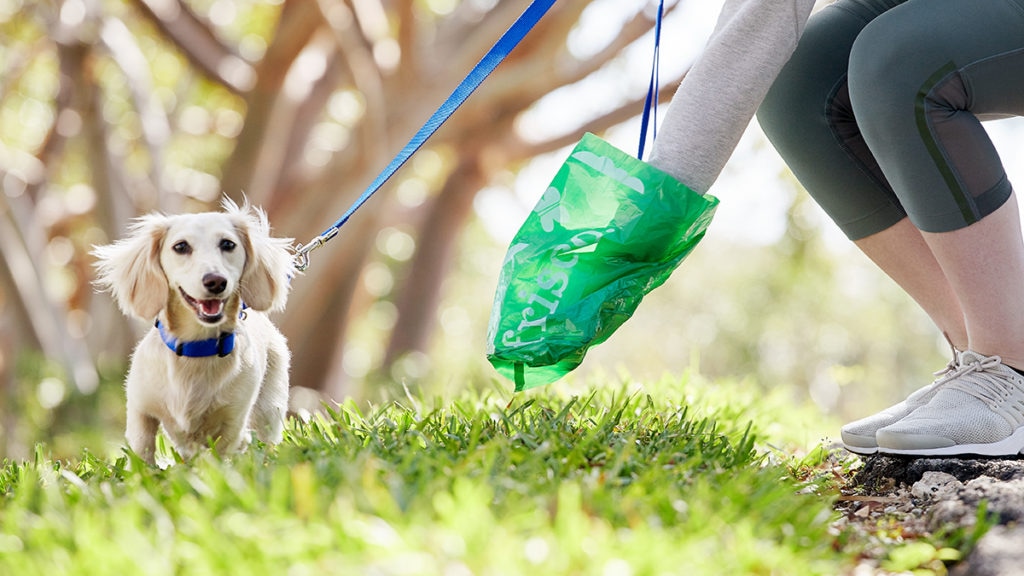 do you have to pick up dog poop in woods