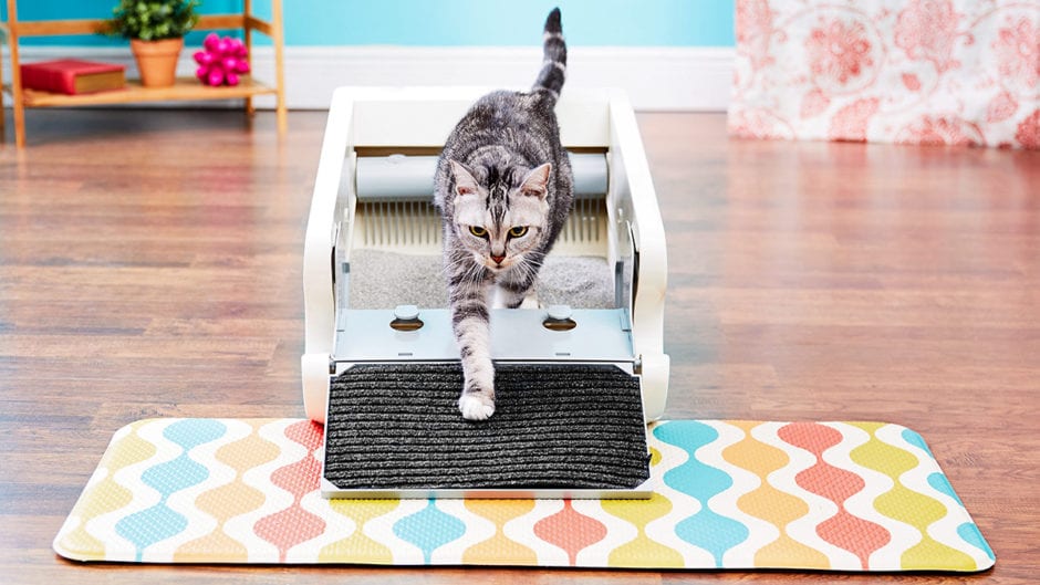The Benefits of a SelfCleaning Litter Box BeChewy