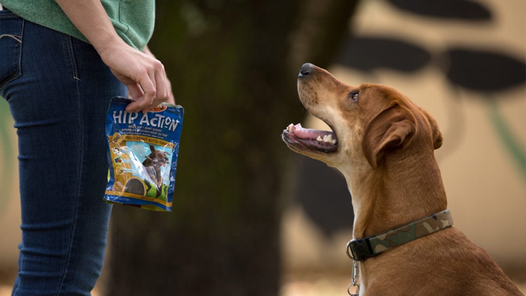 Off leash outlet training