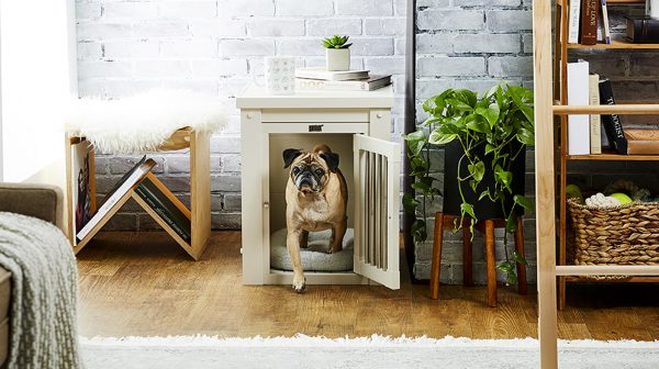 Tips for Making Your Small Apartment Dog Friendly | BeChewy