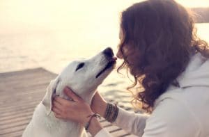 7 Surprising Facts About Dog Kisses | BeChewy