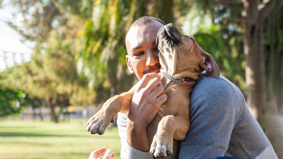 Can Humans Get Fleas What to Do If You Find Fleas or Flea Bites BeChewy