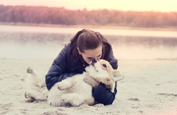 5 Signs You're Smothering Your Dog | BeChewy